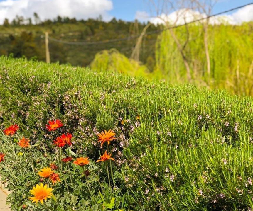 Photo of Outdoor in Portalegre