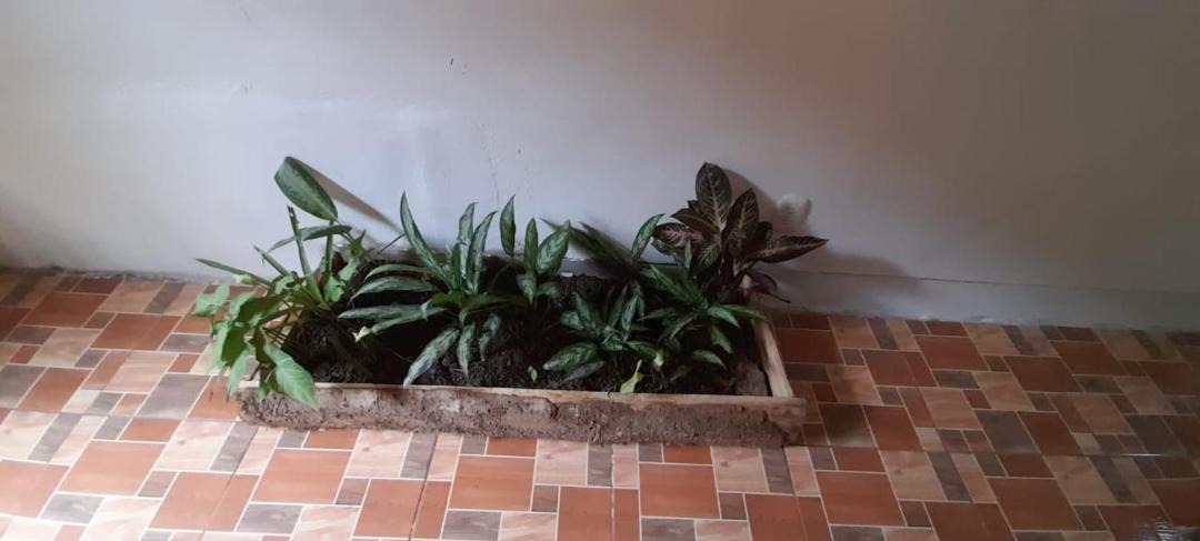 Photo of Others in Puerto Viejo de Talamanca