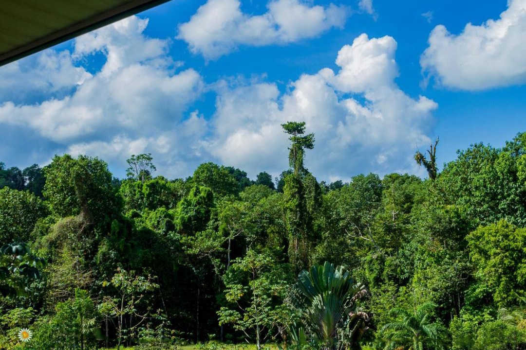 Photo of Outdoor in Drake Bay
