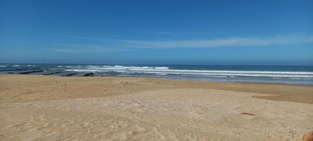 Photo of Others in Aston Bay