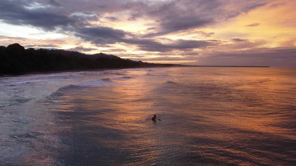 Photo of Others in Puerto Viejo de Talamanca