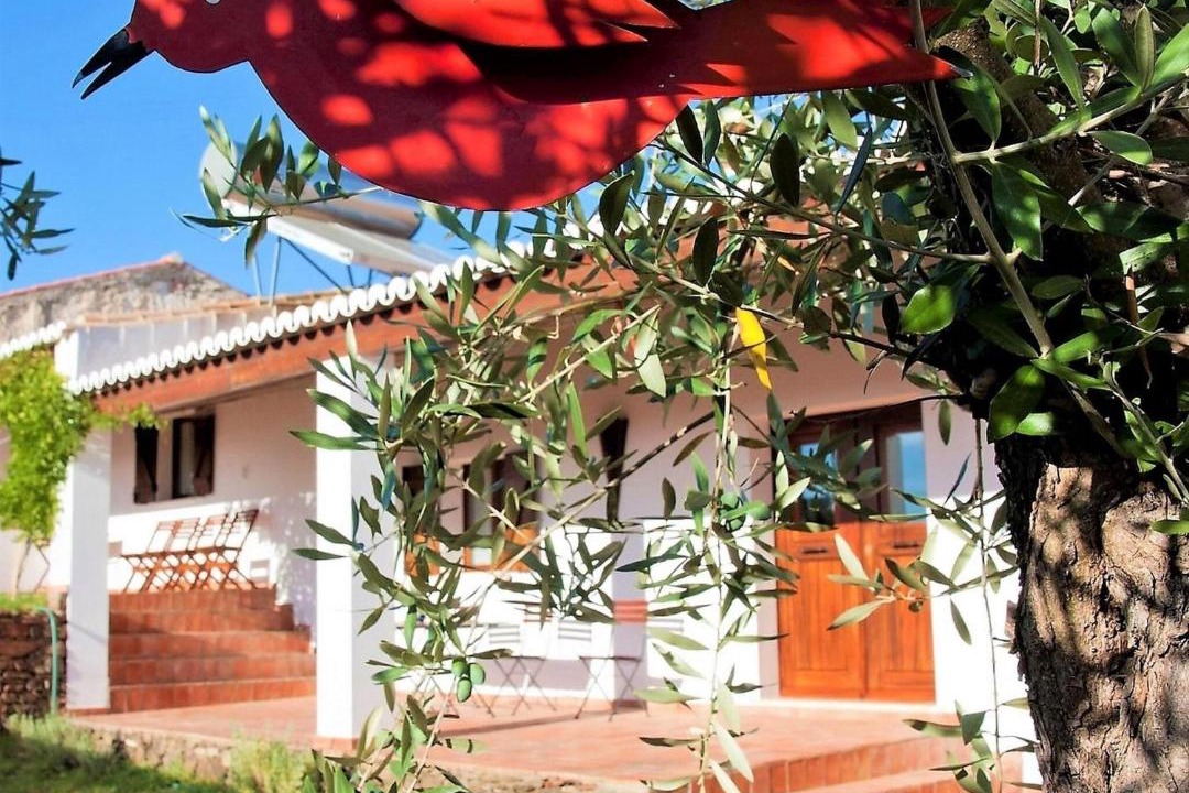 Photo of Others in Mertola