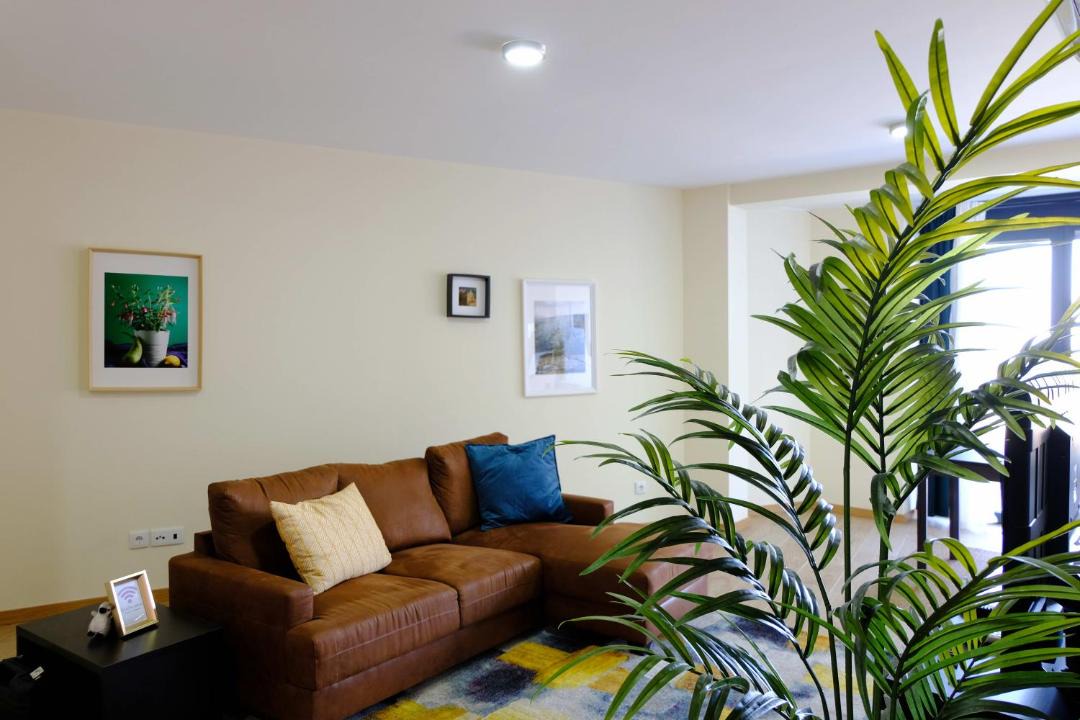 Photo of Livingroom in Seia