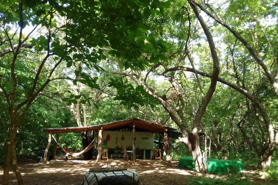Photo of Others in Popoyo
