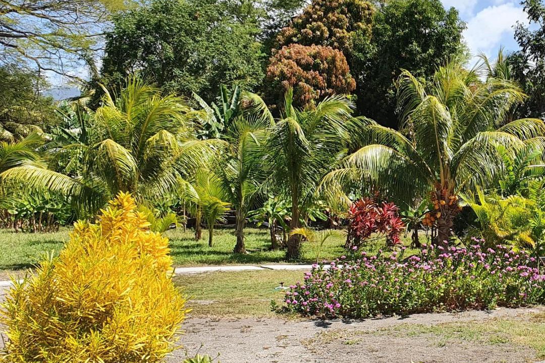 Photo of Others in Moyogalpa