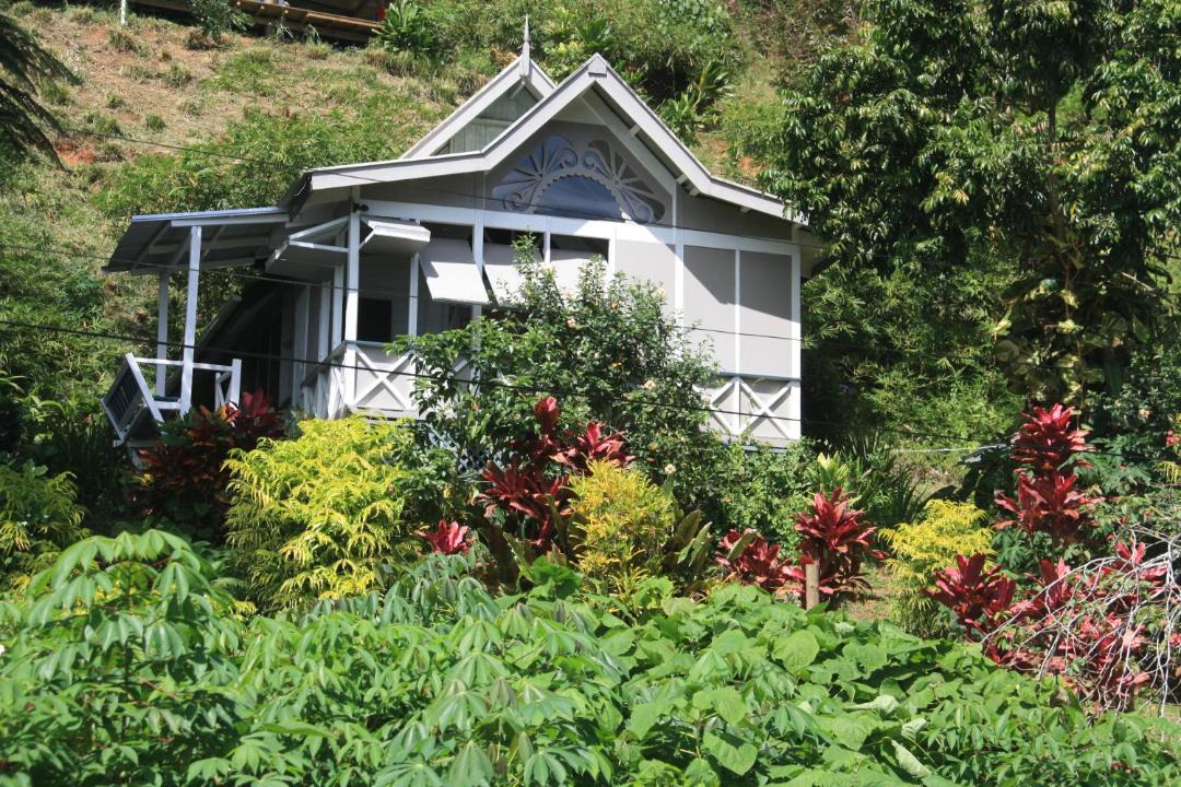 Photo of Buildings in Savusavu