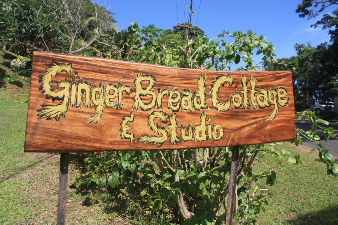 Photo of Buildings in Savusavu
