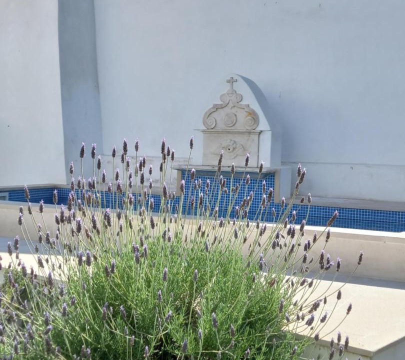 Photo of Outdoor in Evora
