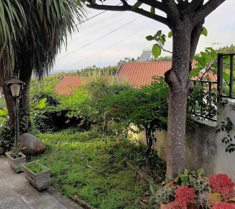 Photo of Others in Santo Antonio dos Olivais