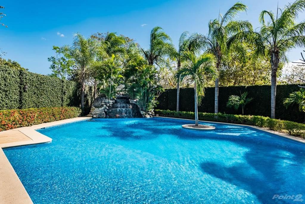 Photo of Outdoor in Playa Langosta