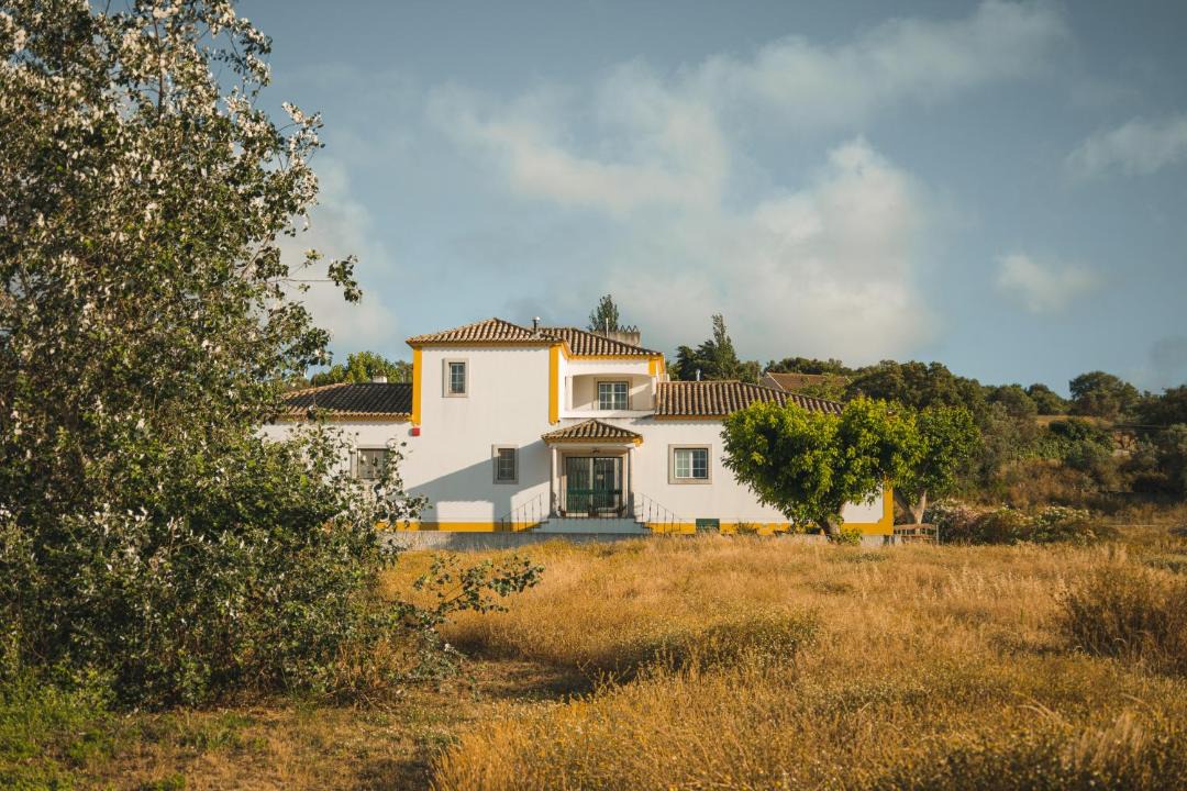 Photo of Others in Setubal