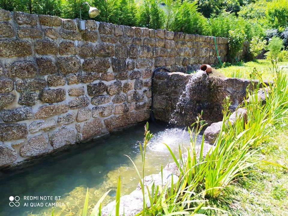 Photo of Others in Santa Comba Dao
