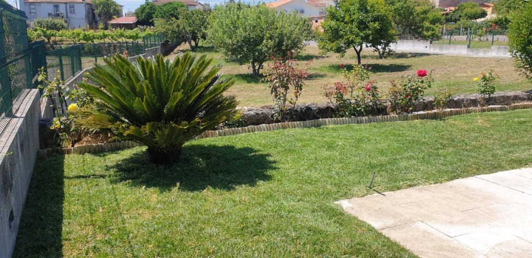 Photo of Others in Tondela