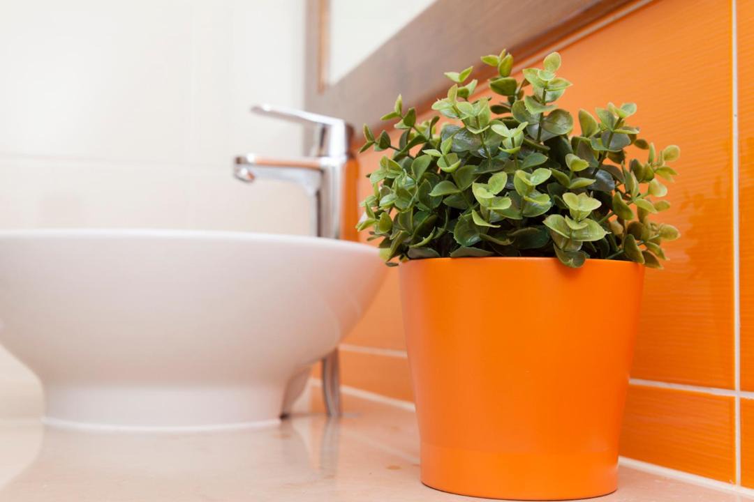 Photo of Bathroom in Beja