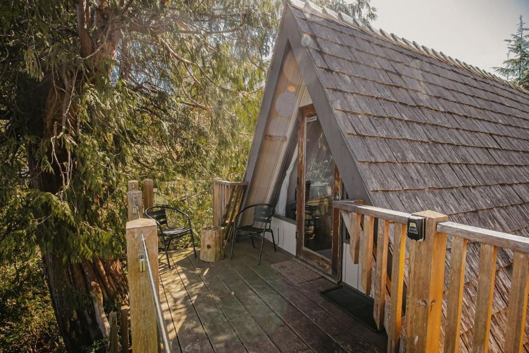 Photo of Others in Tofino