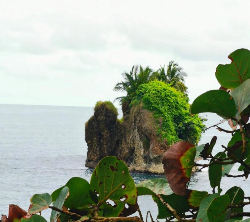 Photo of Others in Puerto Viejo de Talamanca