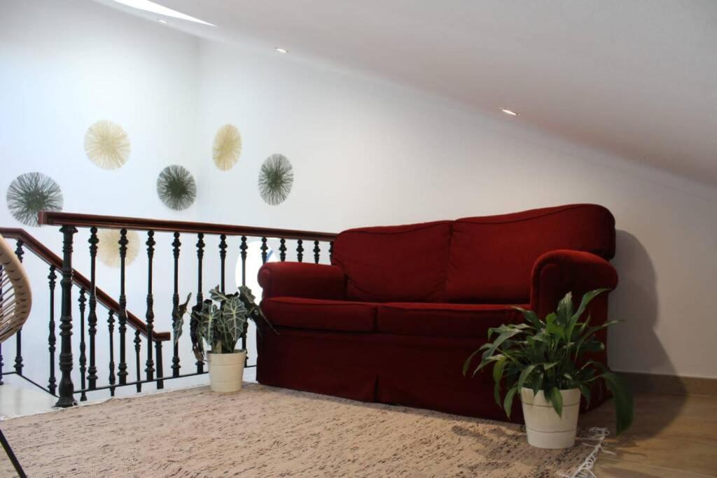 Photo of Livingroom in Azoia