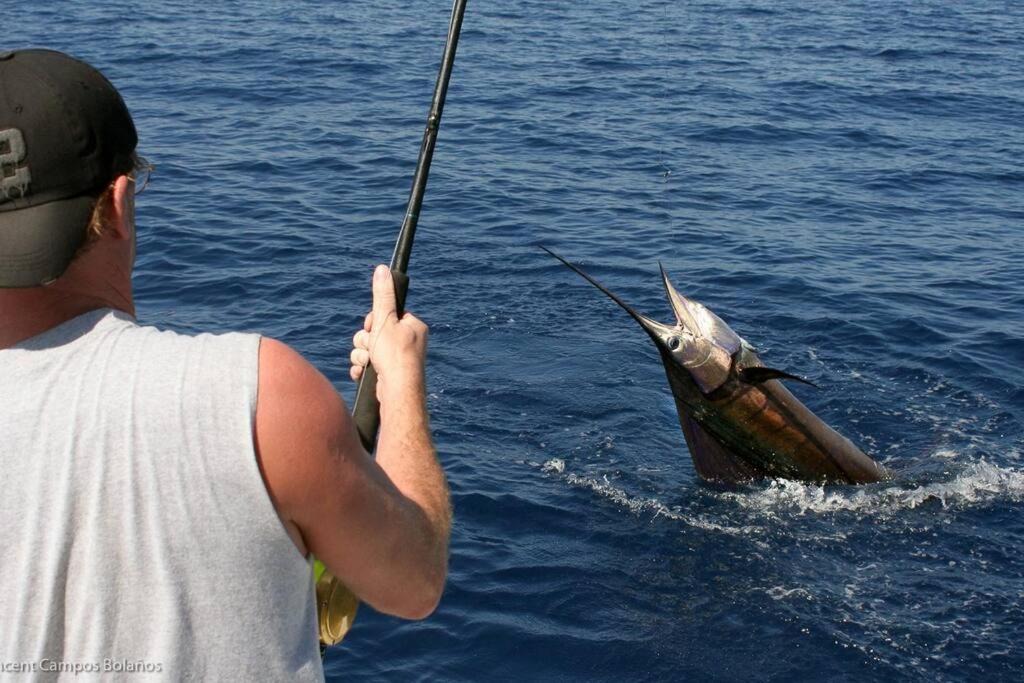 Photo of Others in Drake Bay