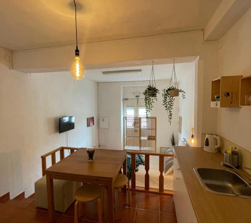 Photo of Livingroom in Albergaria-a-Velha