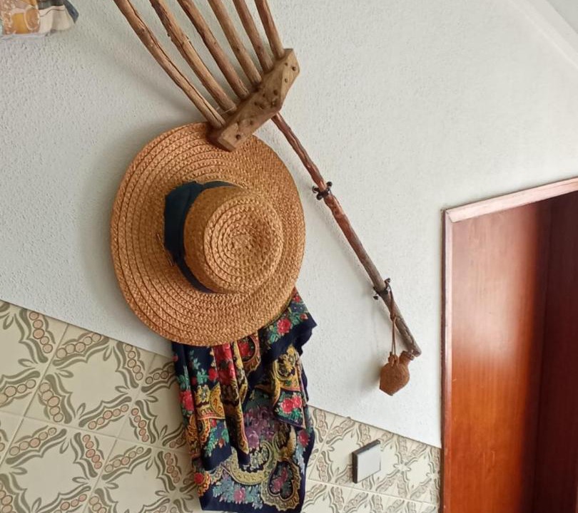 Photo of Others in Montemor-o-Novo