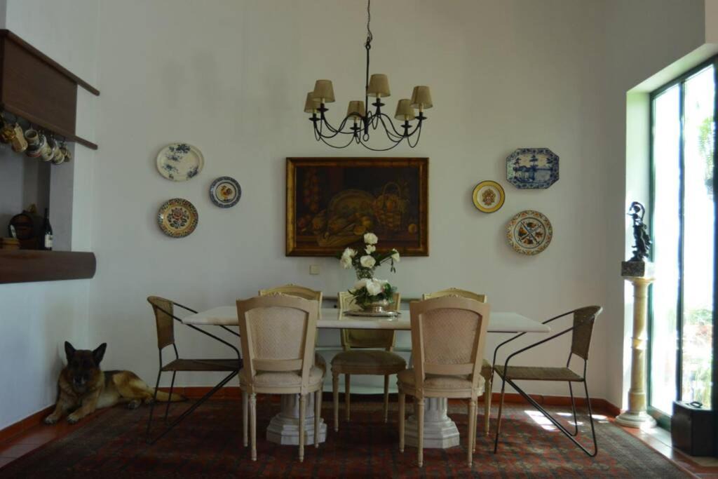 Photo of Others in Montemor-o-Novo