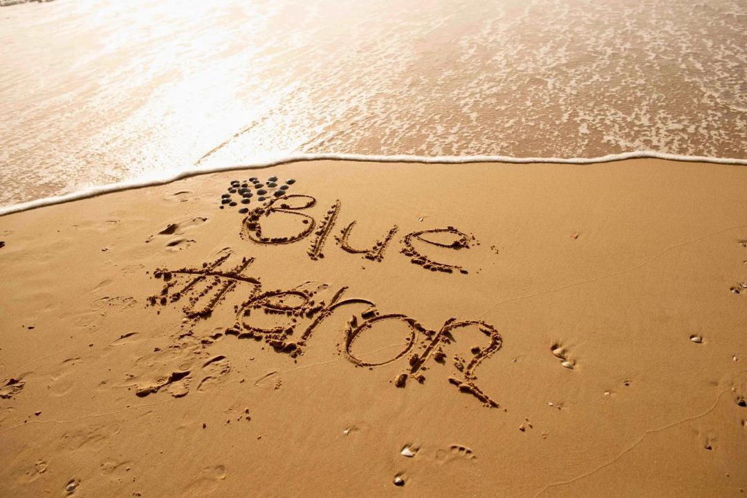 Photo of Others in Mermaid Beach