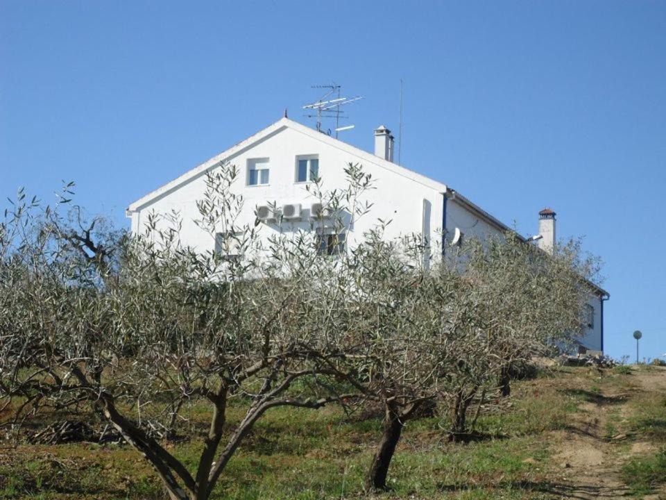 Photo of Others in Montemor-o-Novo