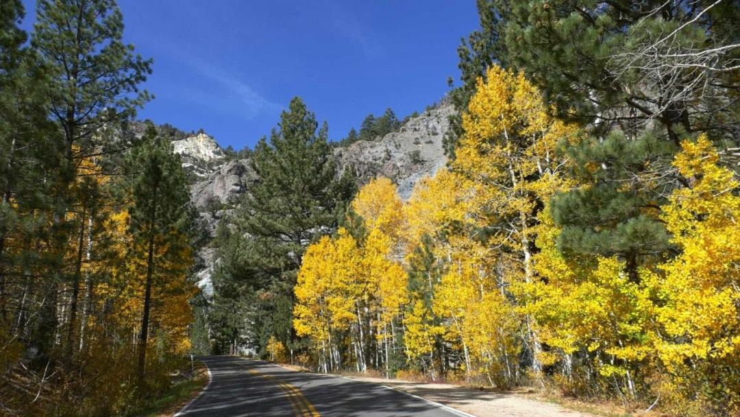 Photo of Others in Bear Valley