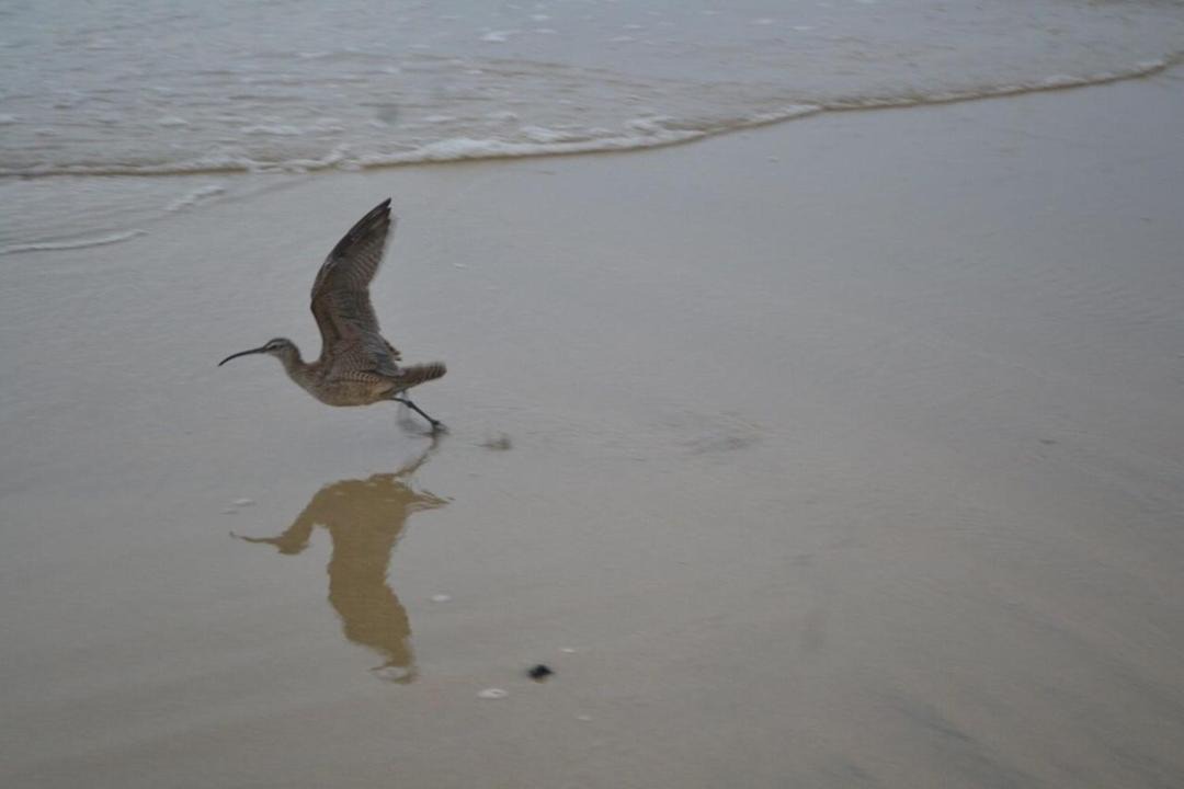 Photo of Others in Cahuita