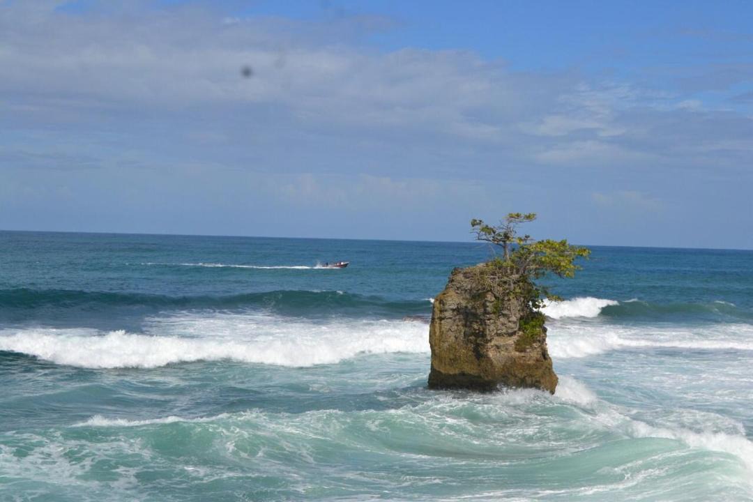 Photo of Others in Cahuita