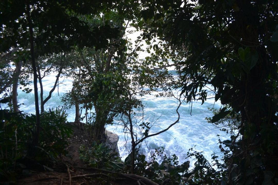 Photo of Others in Cahuita