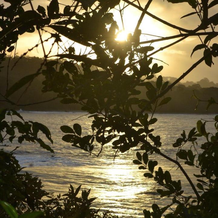 Photo of Others in Cahuita