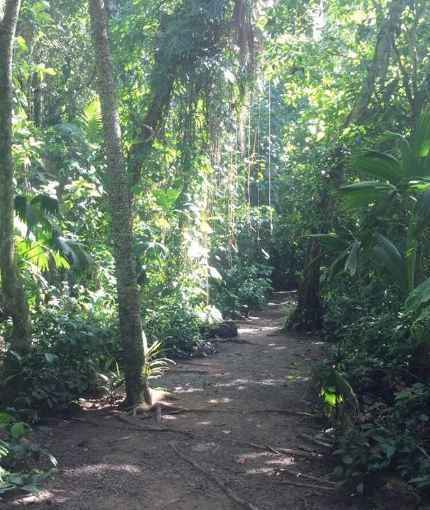 Photo of Others in Cahuita