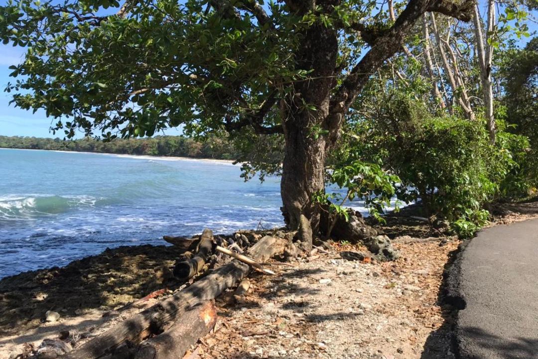 Photo of Others in Cahuita