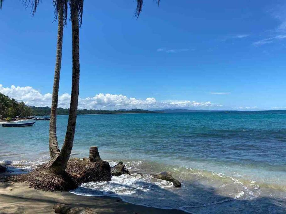 Photo of Outdoor in Puerto Viejo de Talamanca