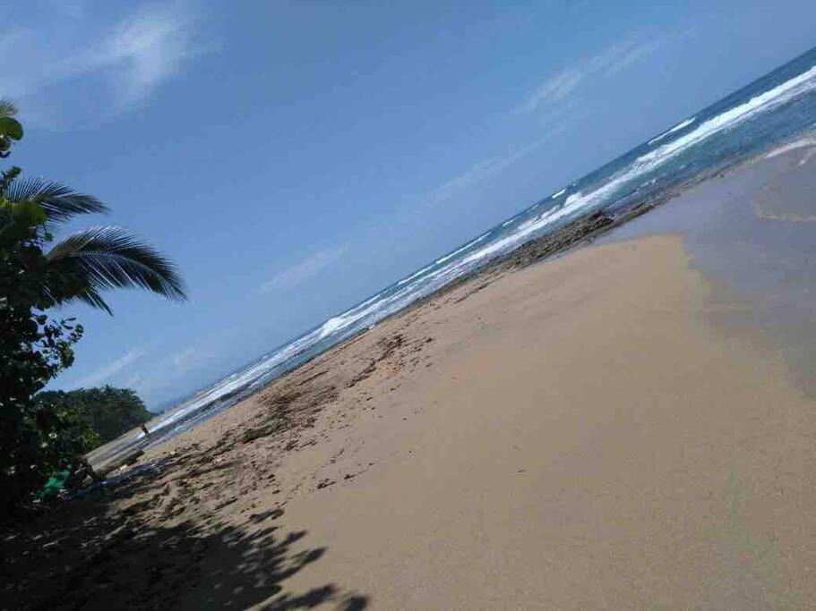 Photo of Outdoor in Puerto Viejo de Talamanca