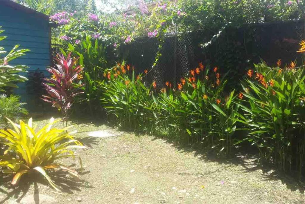 Photo of Outdoor in Puerto Viejo de Talamanca