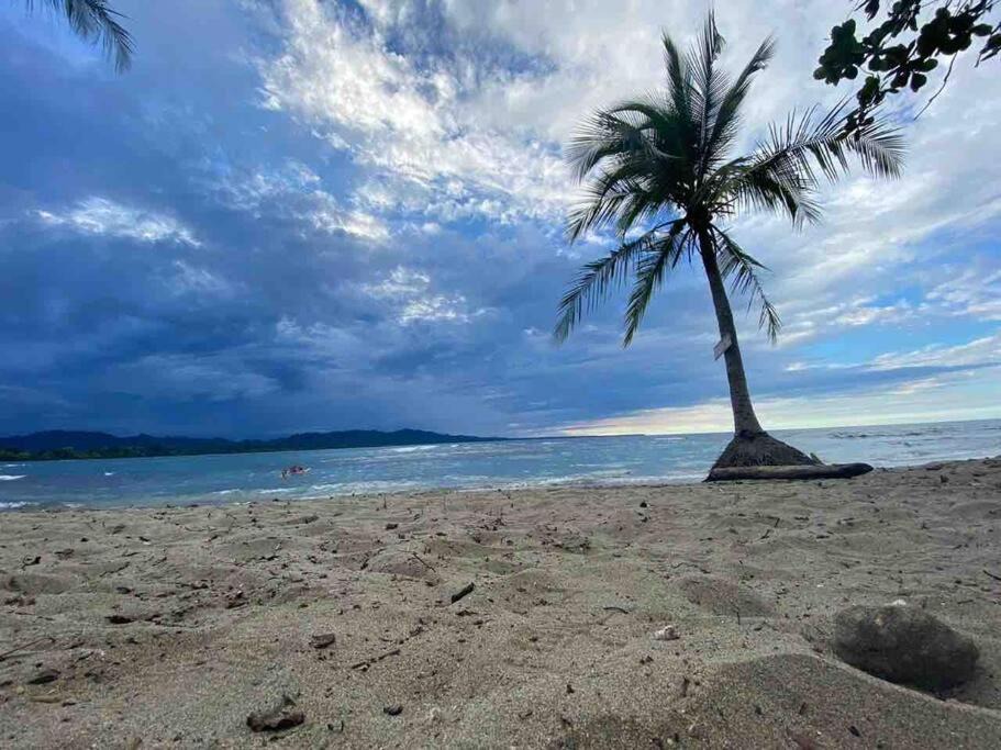 Photo of Outdoor in Puerto Viejo de Talamanca