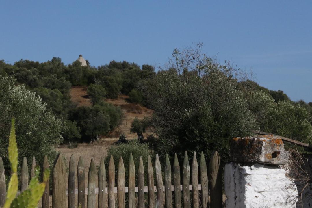Photo of Others in Alvito