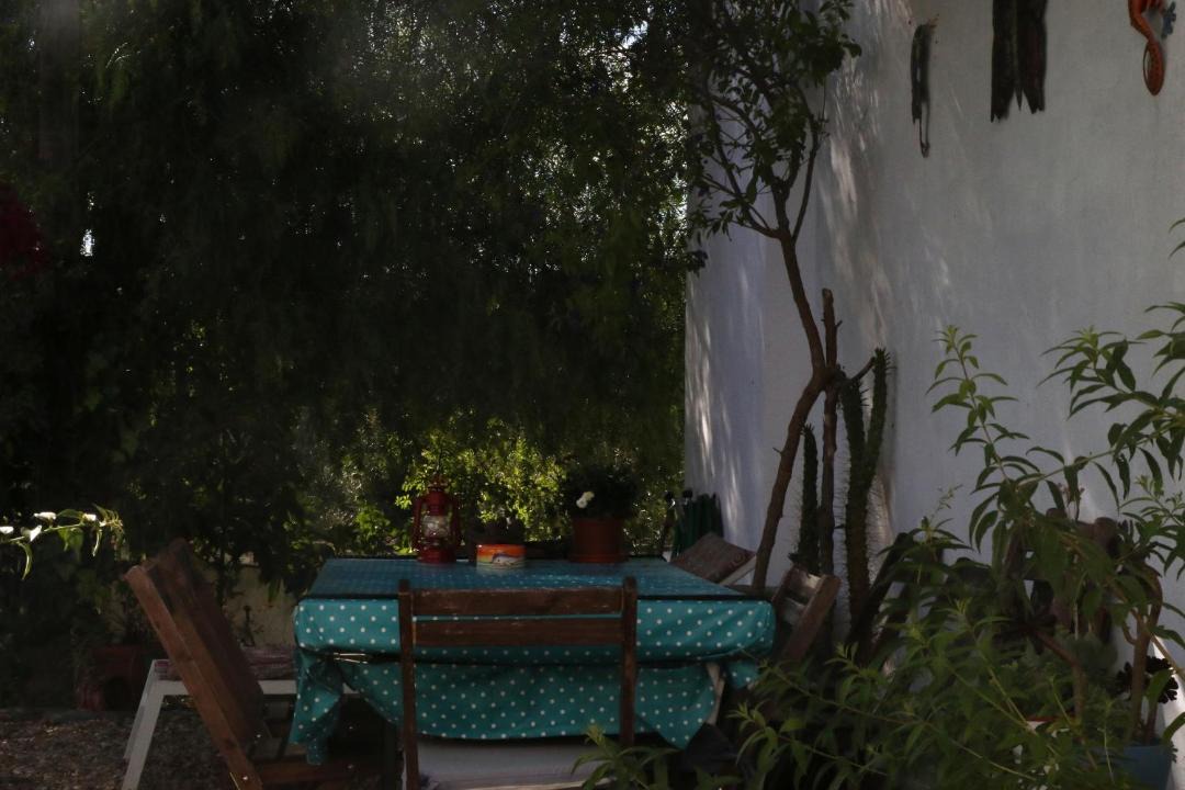 Photo of Others in Alvito