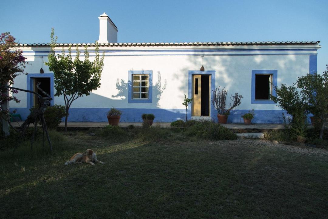 Photo of Buildings in Alvito