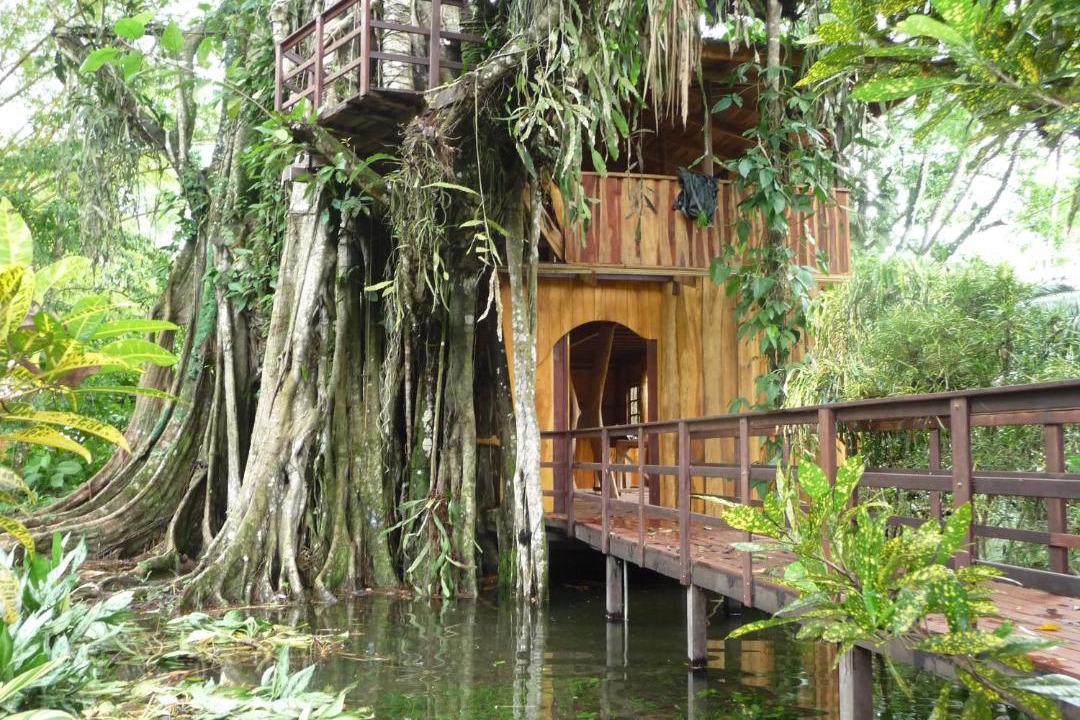 Photo of Others in Cahuita