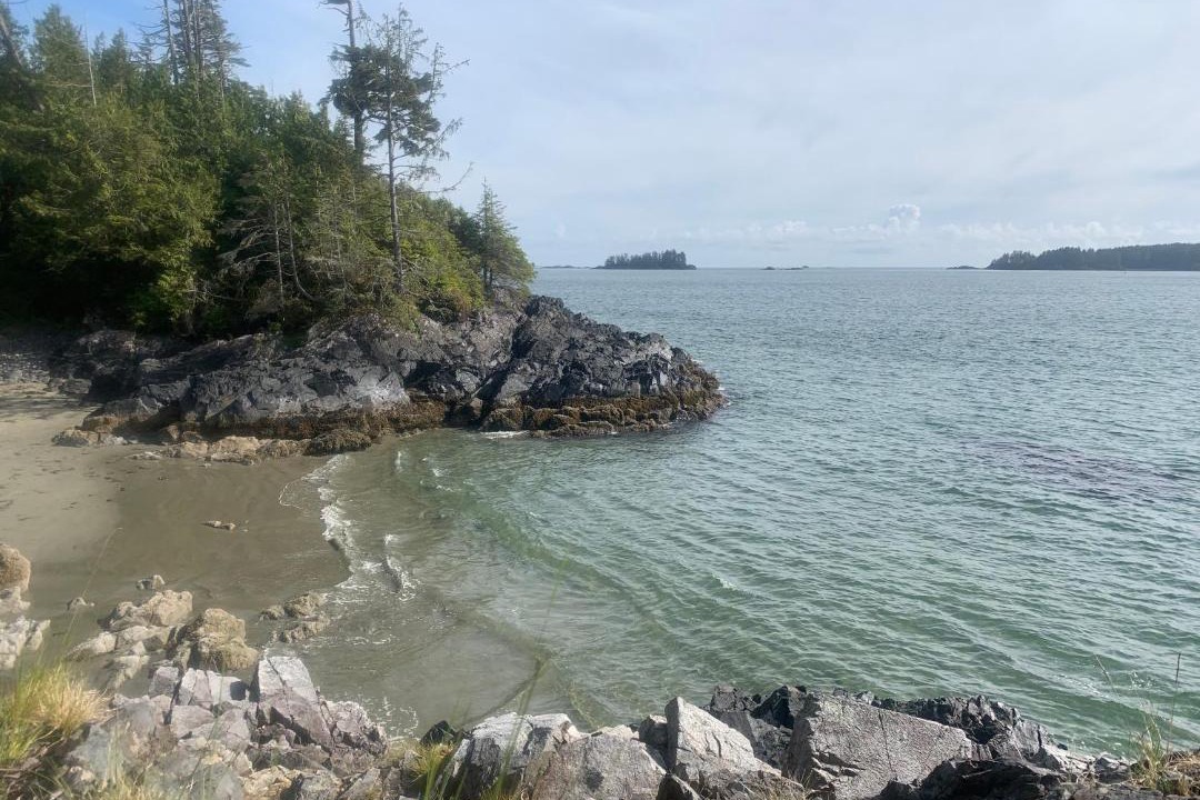 Photo of Others in Tofino