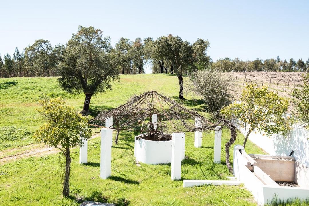 Photo of Others in Ponte de Sor