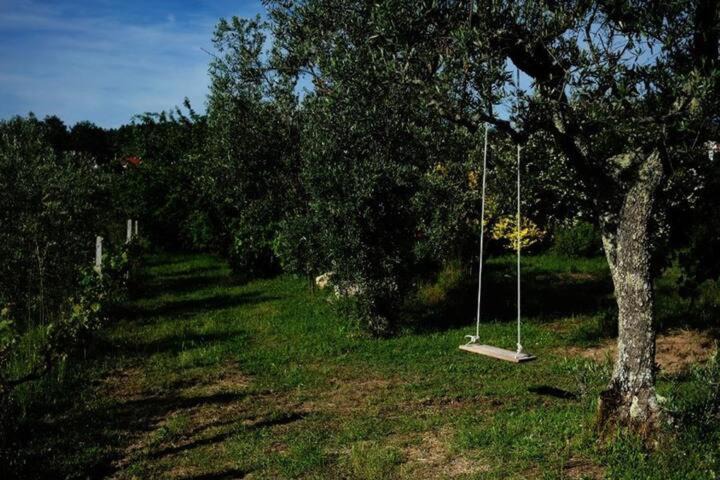 Photo of Outdoor in Seia