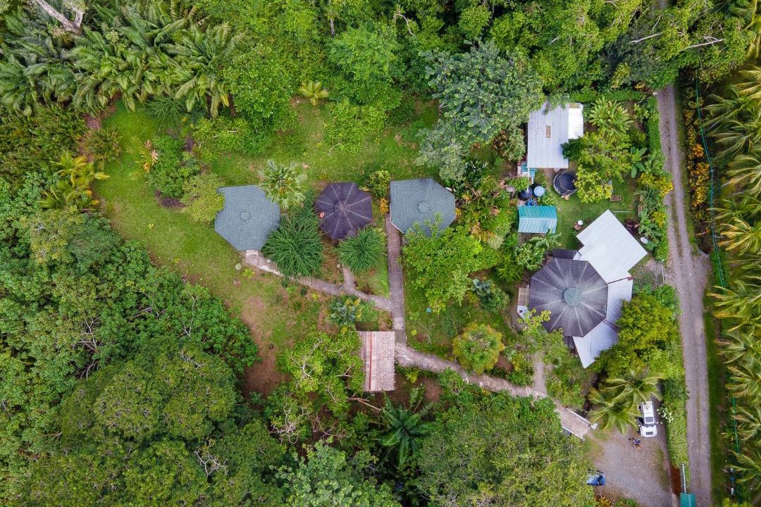 Photo of Others in Cahuita