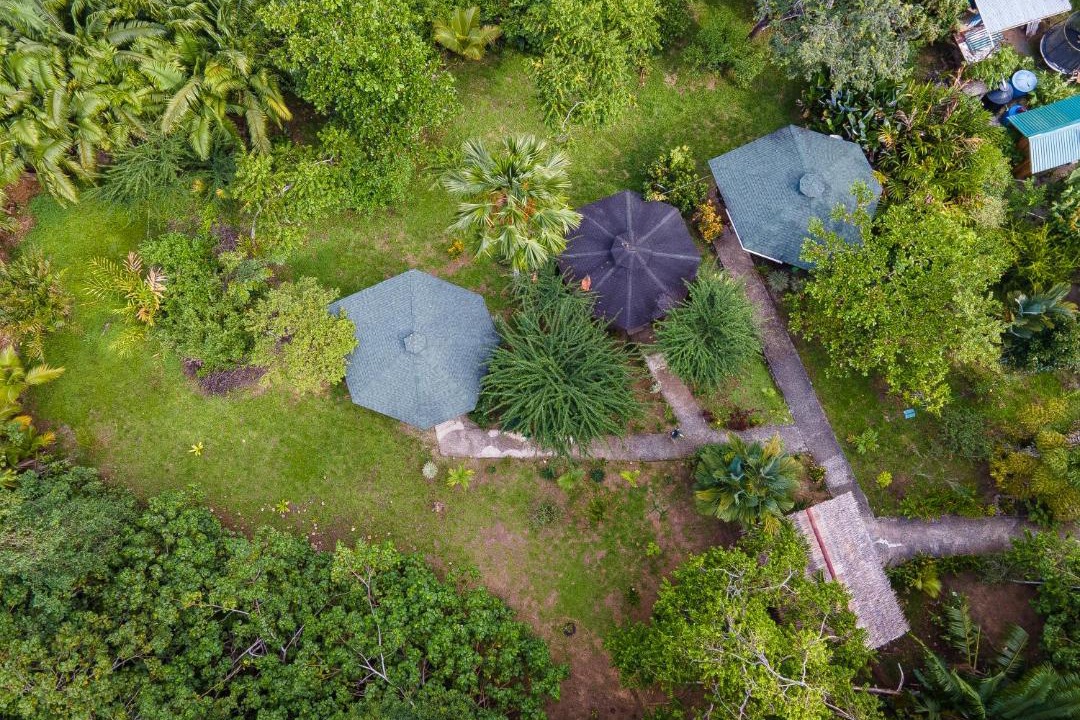 Photo of Others in Cahuita