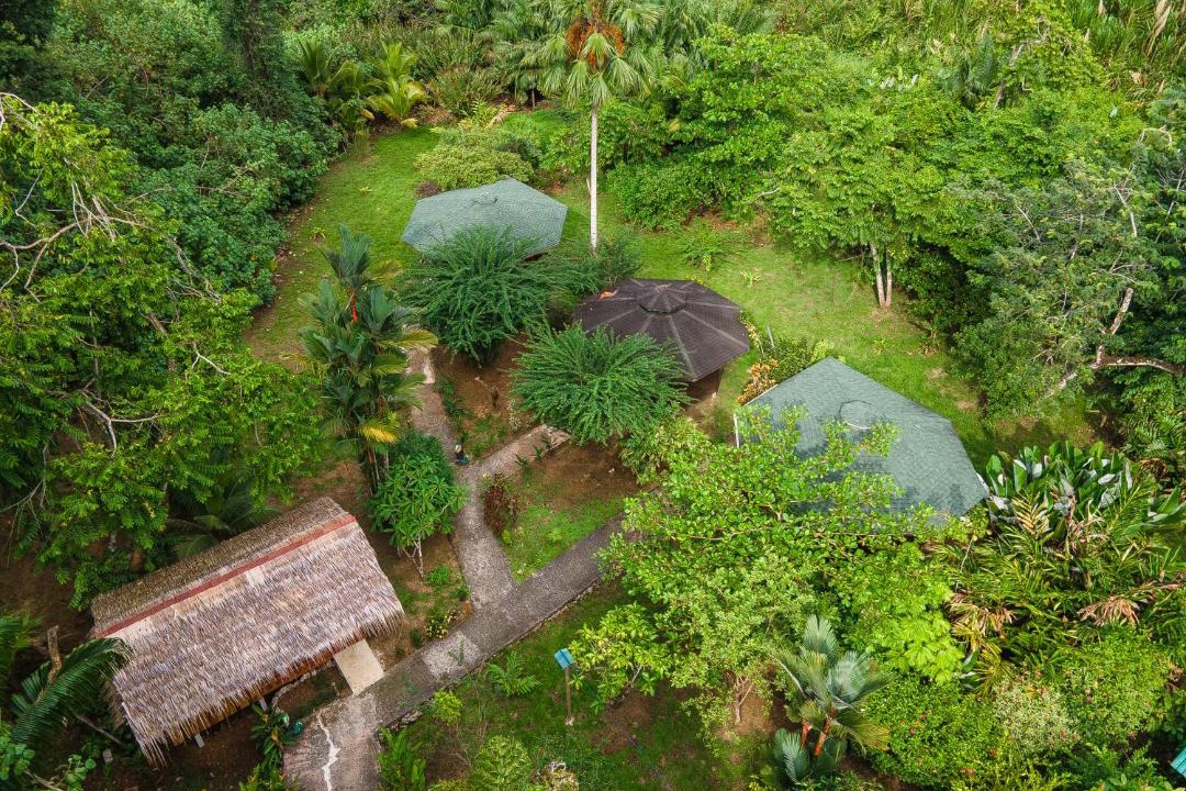 Photo of Others in Cahuita