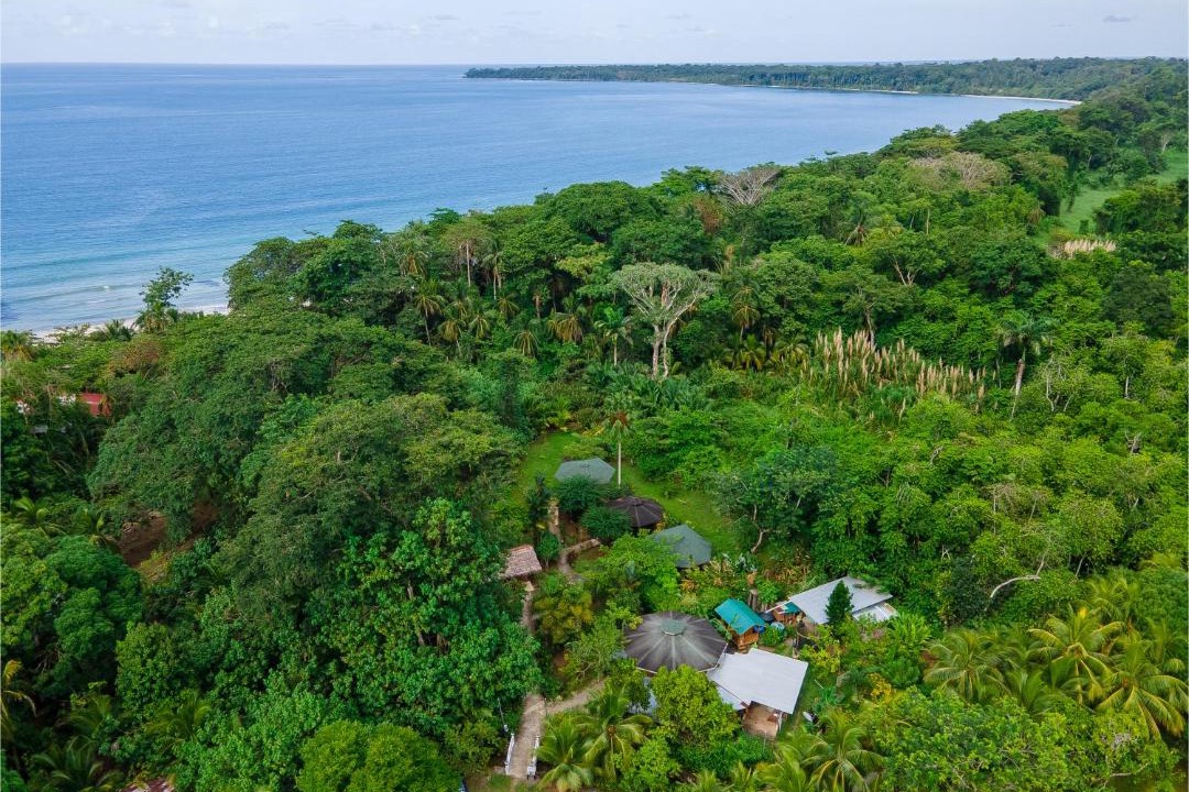 Photo of Others in Cahuita
