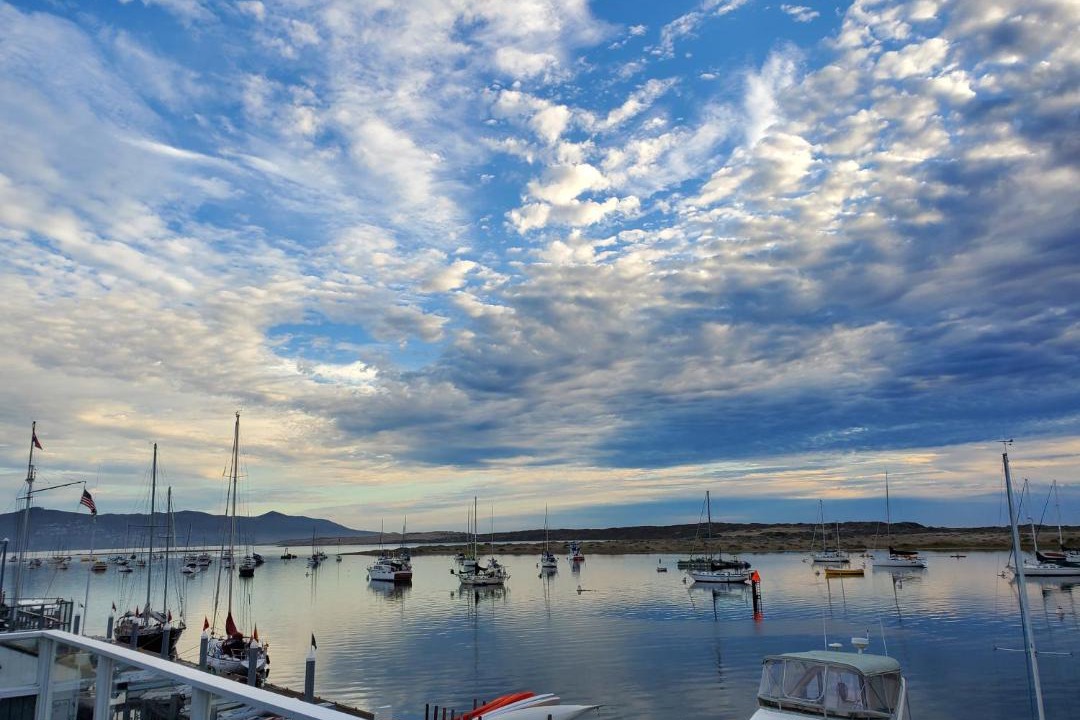 Photo of Others in Morro Bay